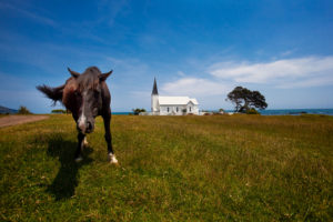 Raukokore, New Zealand