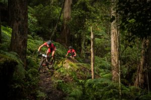 Brendan Johnston and Dylan Cooper, Willo Enduro, Wingello