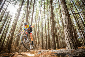 Mtb in the pine forests around Orange