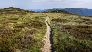 Mountain trail, Falls Creek, Victoria